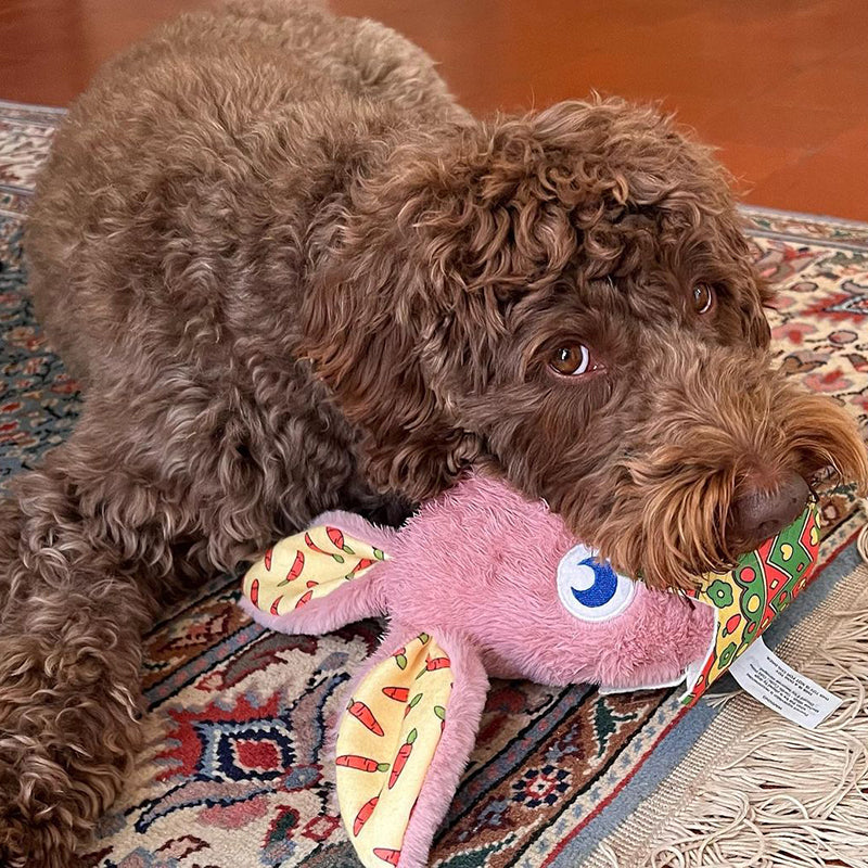 WufWuf Rabbit in the Egg Shell