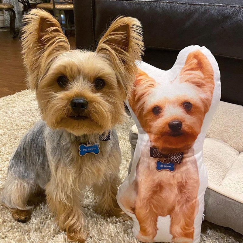 Personalised Custom Shaped Pet Pillow for Dogs & Cats