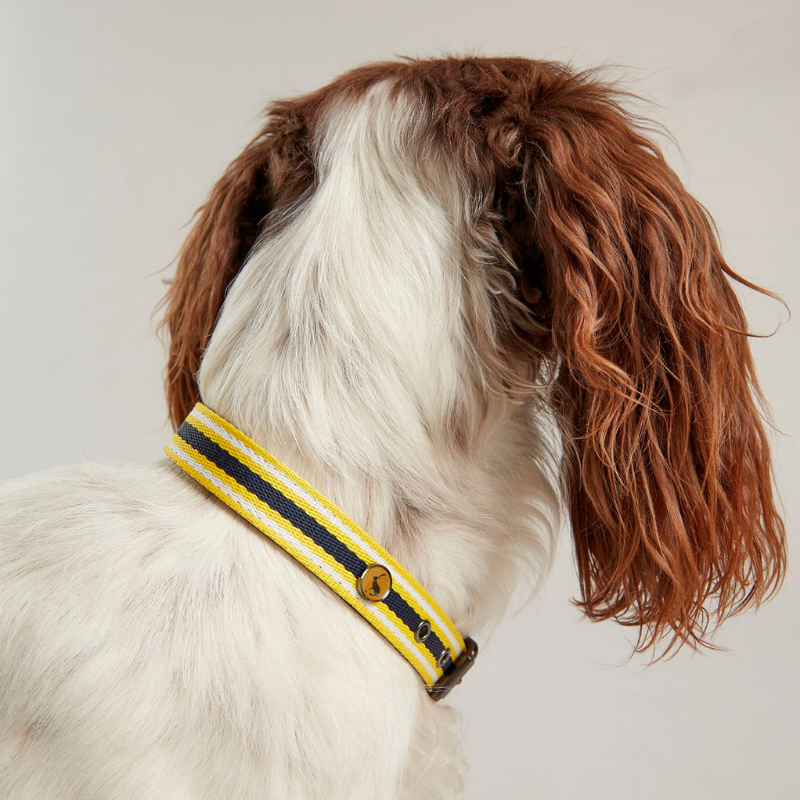 Joules Yellow Stripe Coastal Collar Wufwuf Shop