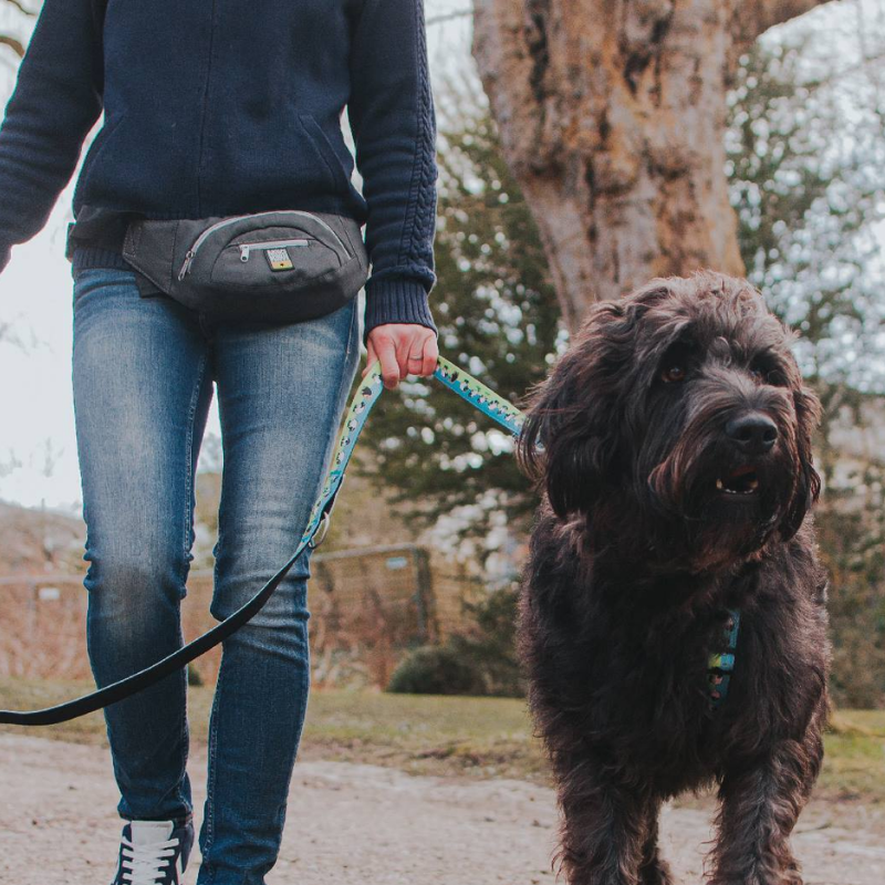 Max & Molly – Gürteltasche