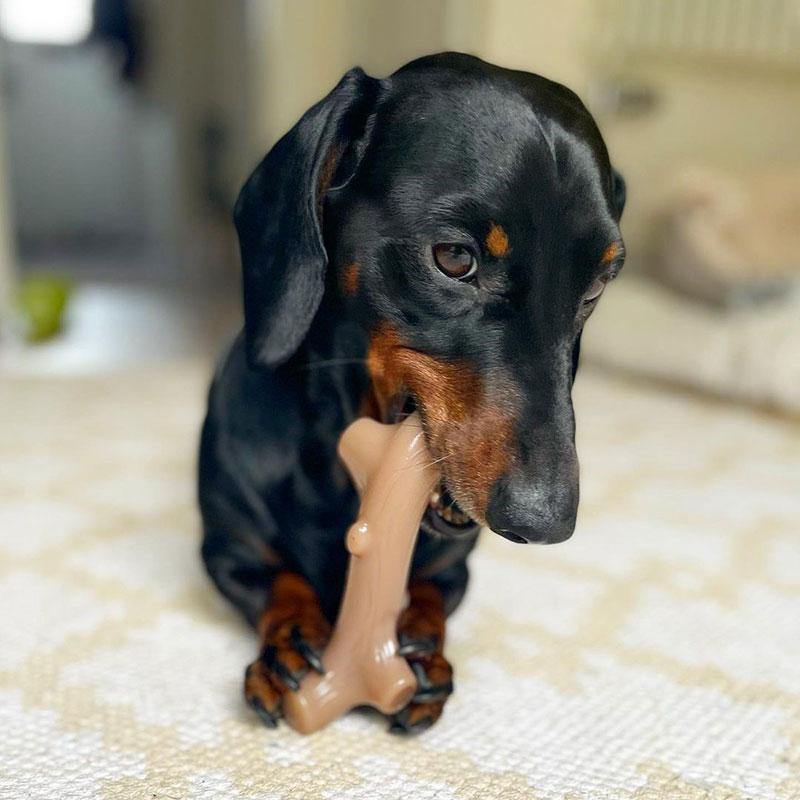 Petstages - Liver Branch Chew Toy For Dogs - Wufwuf Shop