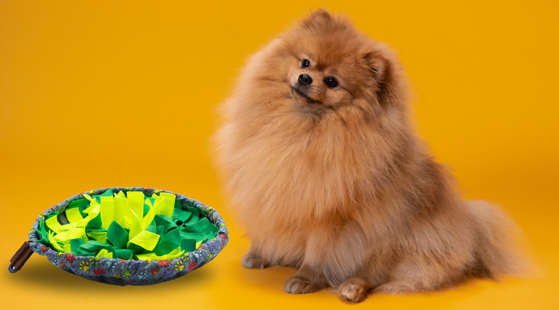 Why Your Dog Needs A Snuffle Mat