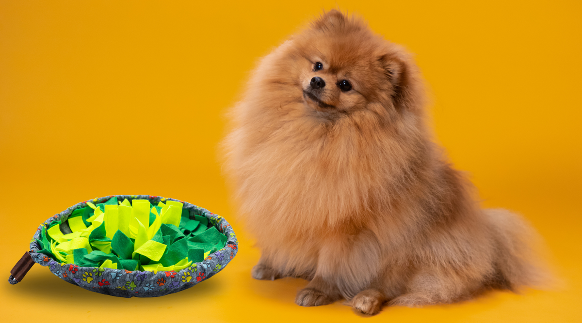Why Your Dog Needs A Snuffle Mat Wufwuf Shop