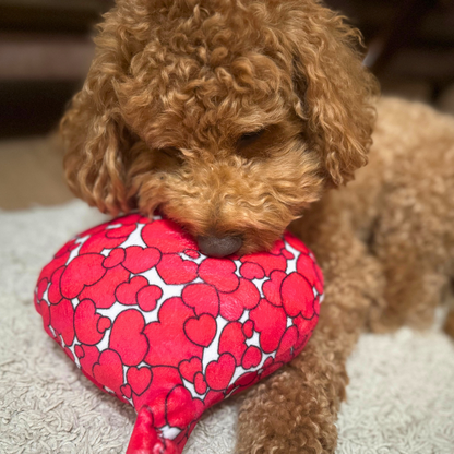 WufWuf Love is in the Air, Balloon Shaped Plush, Crinkle, Rope Dog Toy