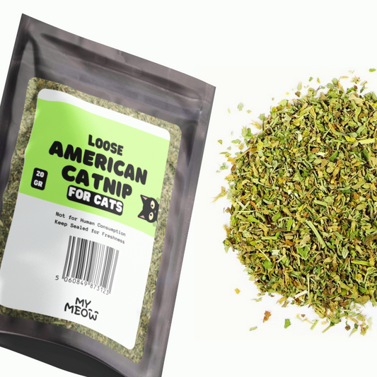 MyMeow 100% Natural Catnip – 20g | Grown in North America