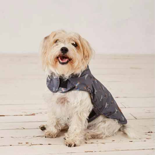 Danish Design FatFace - Marching Dogs Raincoat