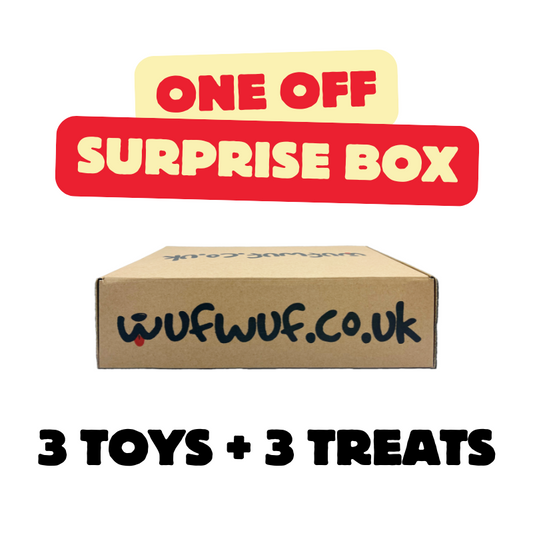 WufWuf One-Off Surprise Box – A Joyful Treat for Your Dog!