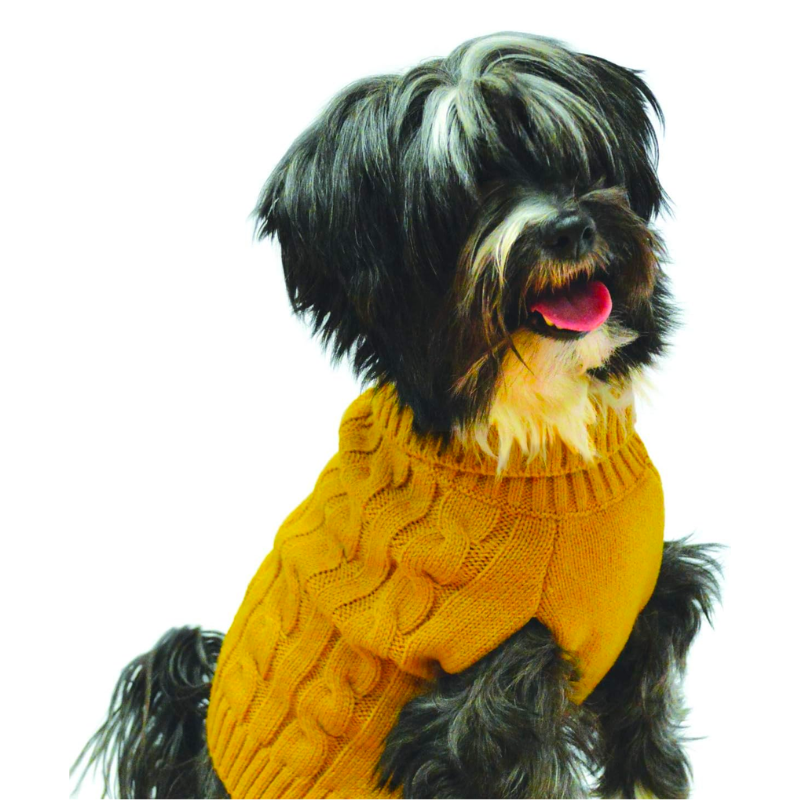 Happy Pet – Charlton Cable Knit Senf