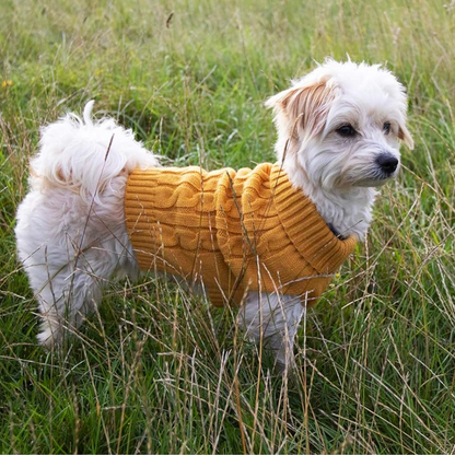 Happy Pet – Charlton Cable Knit Senf