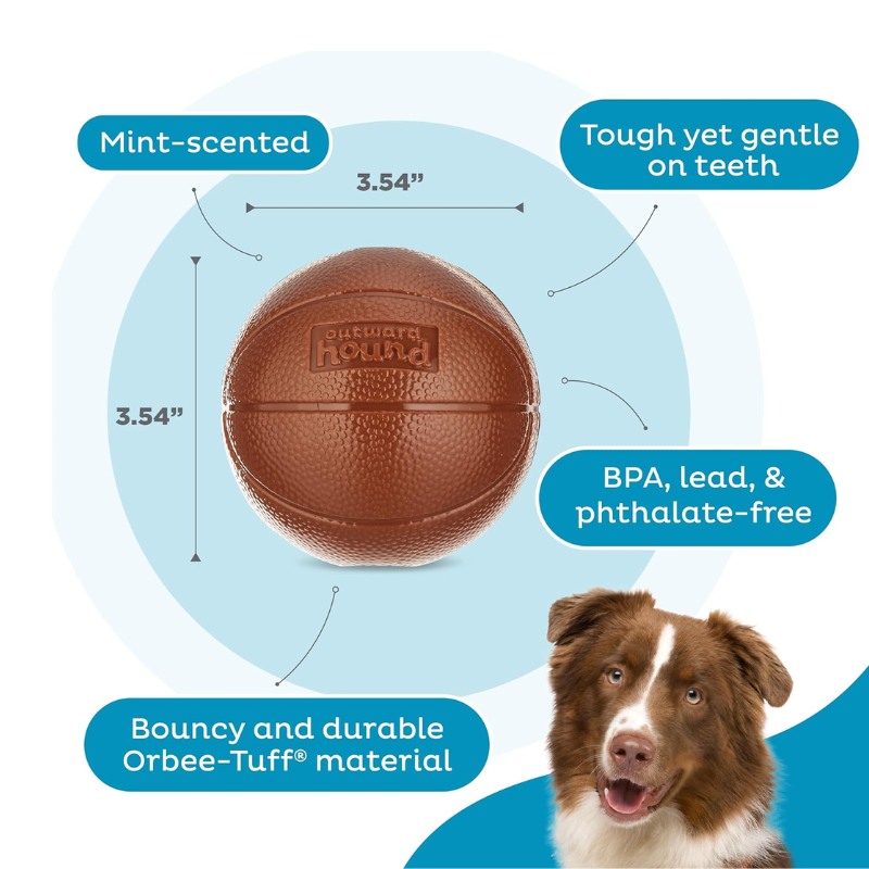 Outward Hound Planet Dog Orbee-Tuff Basketball Treat-Dispensing Dog Chew Toy