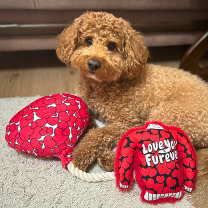 WufWuf Love You Furever Squeaky Plush Dog Sweater Toy