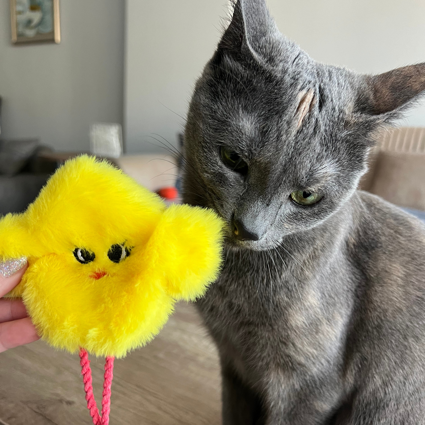 MyMeow Catnip Chick, Refillable Cat Toy