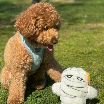 WufWuf Mummy Plush Dog Toy with Crinkle, It's a 'wrap' of joy!