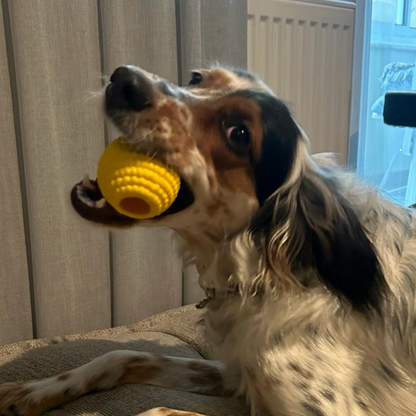 WufWuf Power Chewer Ball: Extreme Tough Chew Toy