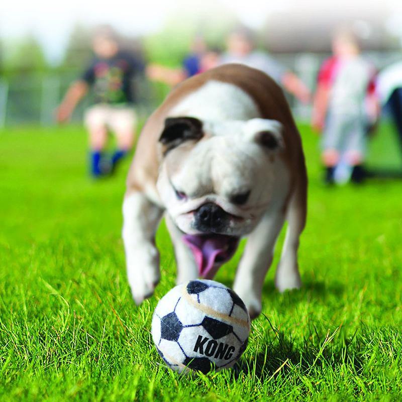 Kong - Sport Balls for Dogs Medium (3 Pack) - Wufwuf Shop
