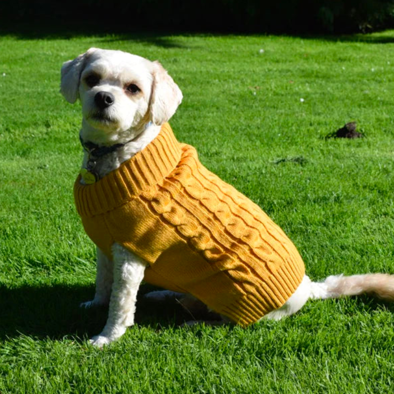 Happy Pet – Charlton Cable Knit Senf