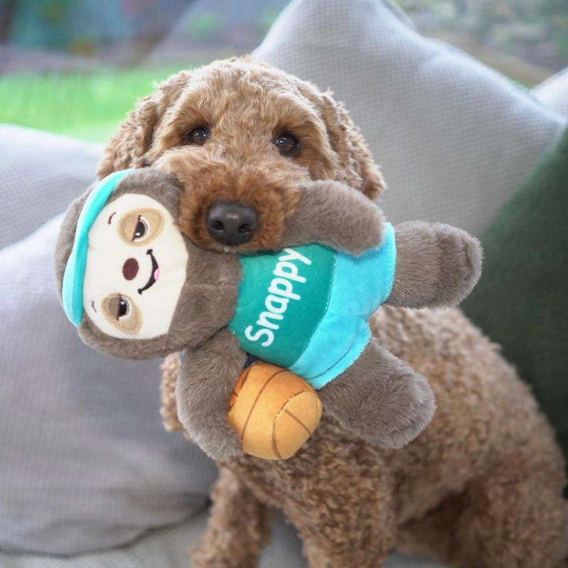 Happy Pet Sports Sloth Plush Dog Toy, Snappy