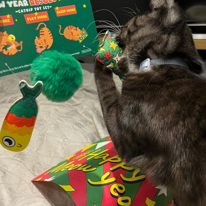 MyMeow – Meow Year Resolutions – Katzenminze-Spielzeugset