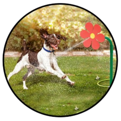 Smart Choice Dancing Flower Pet Water Sprinkler