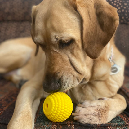 WufWuf Power Chewer Ball: Extreme Tough Chew Toy