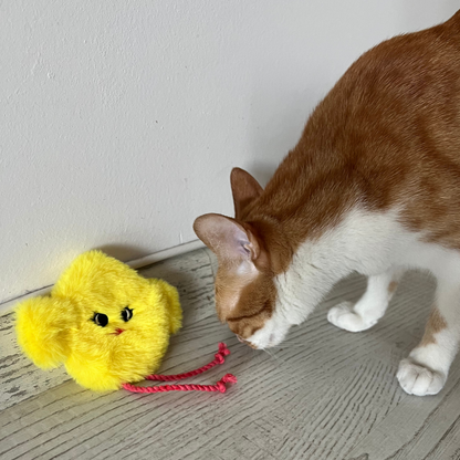 MyMeow Catnip Chick, Refillable Cat Toy