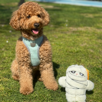 WufWuf Mummy Plush Dog Toy with Crinkle, It's a 'wrap' of joy!