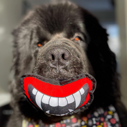 Halloween Dog Advent Calendar