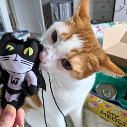 MyMeow Batmeow Finger Teaser Cat Toy