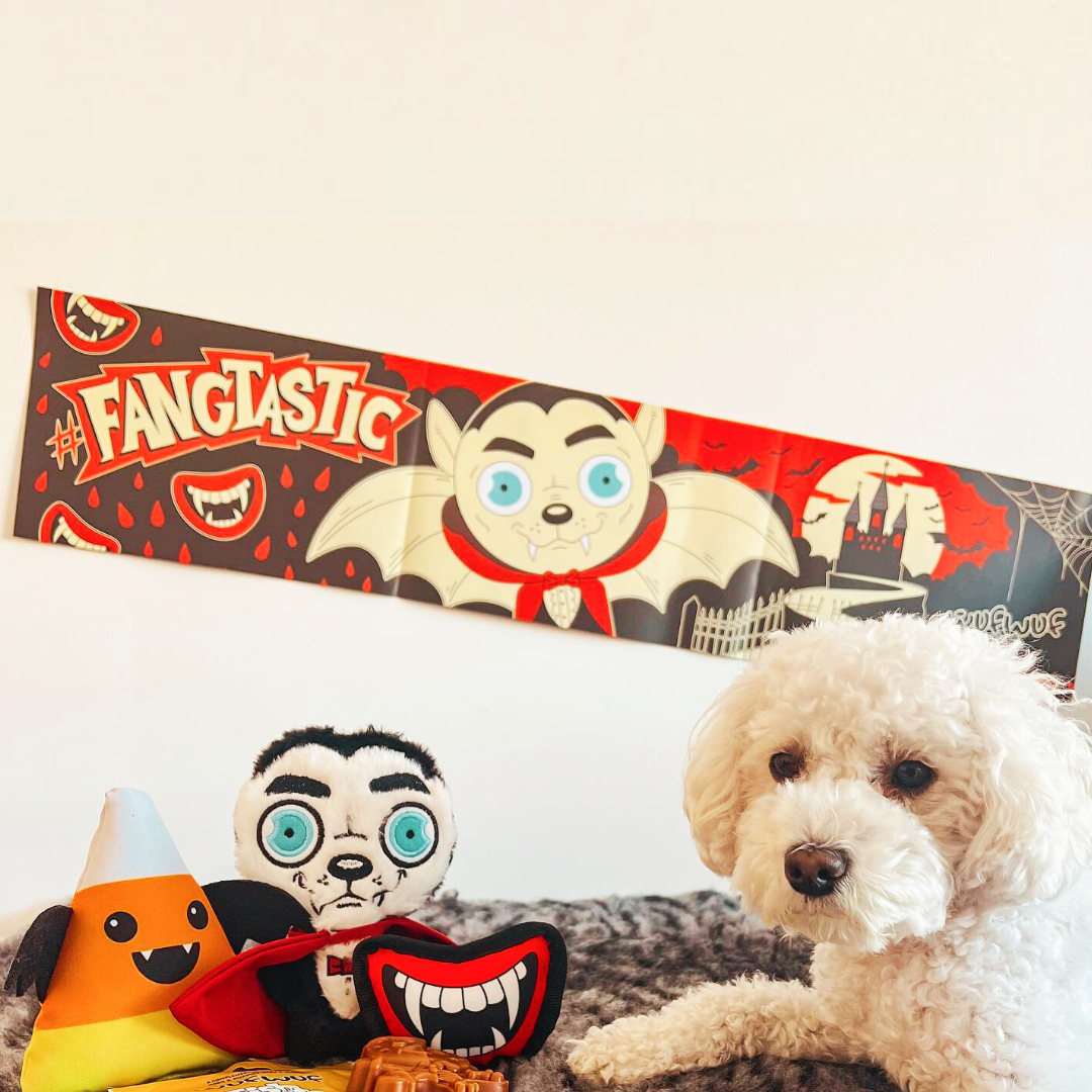 Halloween Dog Advent Calendar