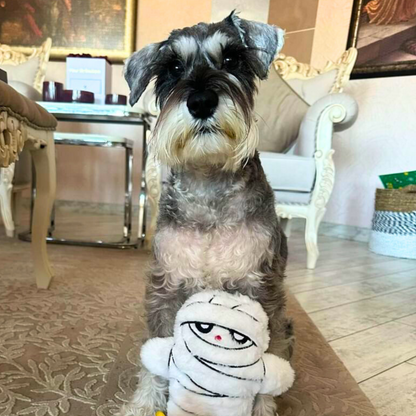 WufWuf Mummy Plush Dog Toy with Crinkle, It's a 'wrap' of joy!