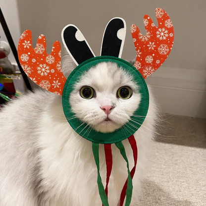 MyMeow – Rudolph Türhänger