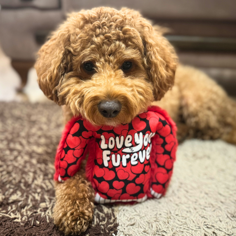 WufWuf Love You Furever Squeaky Plush Dog Sweater Toy