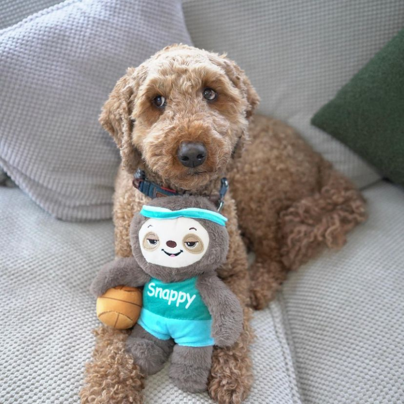 Happy Pet Sports Sloth Plush Dog Toy, Snappy