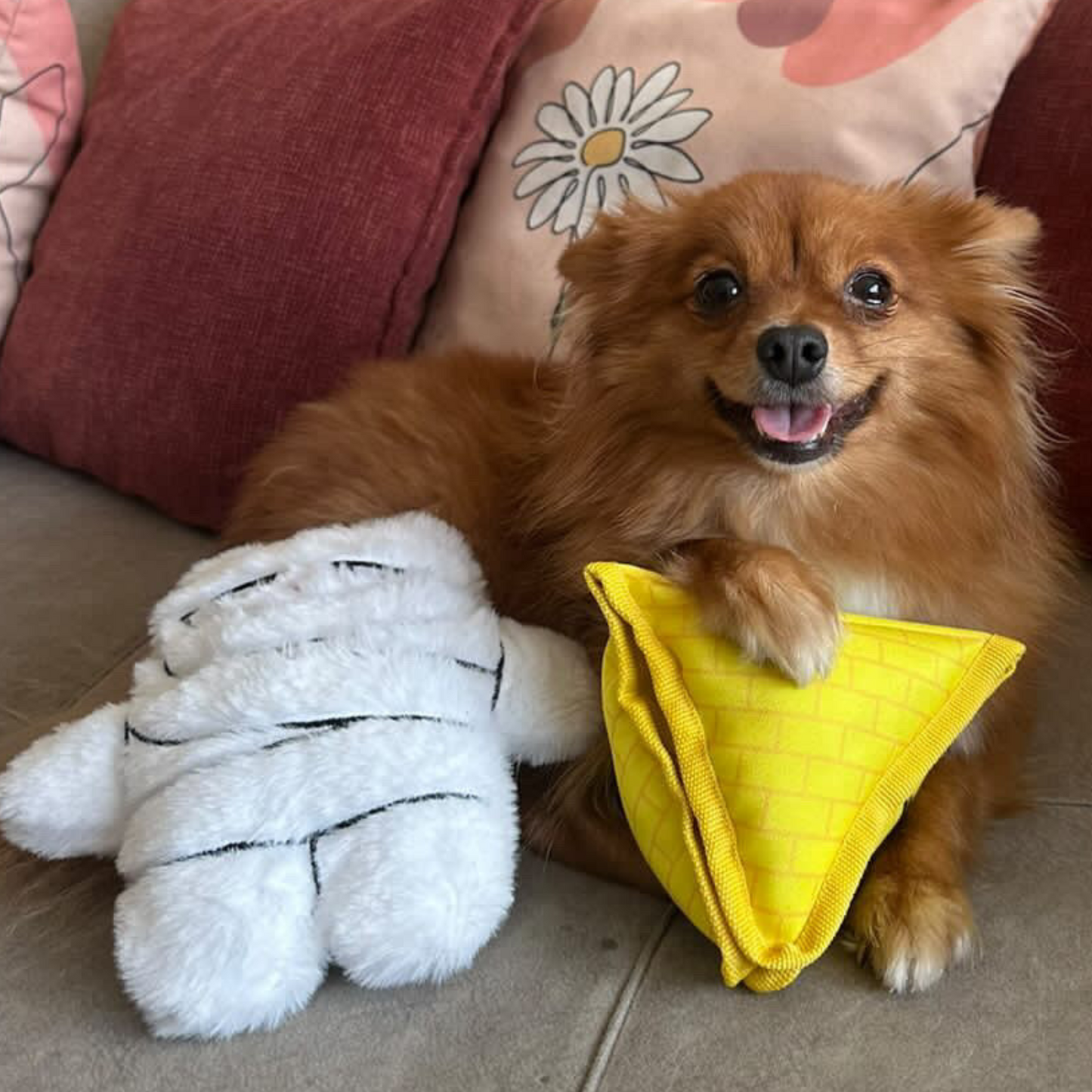 WufWuf Mummy Plush Dog Toy with Crinkle, It's a 'wrap' of joy!