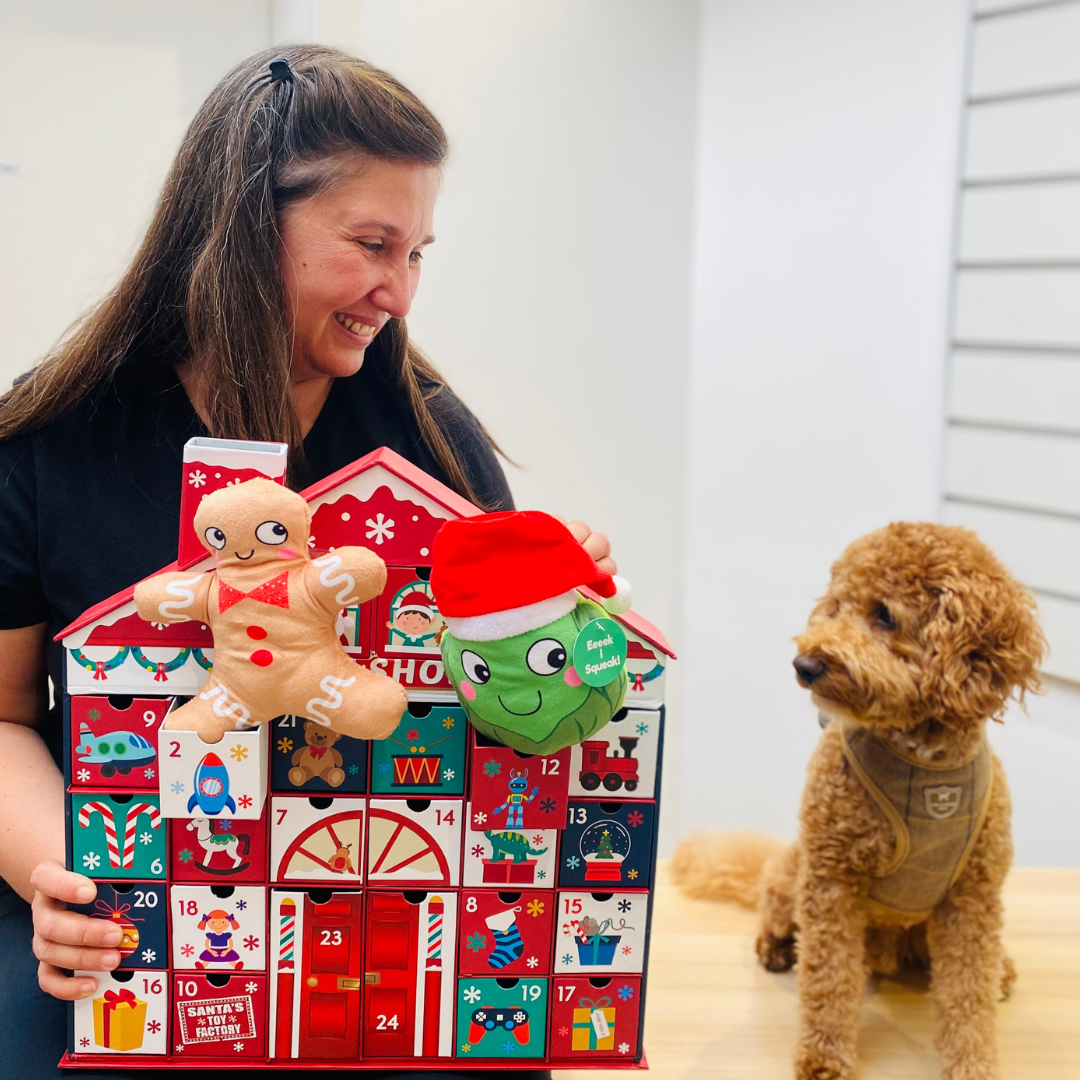 Riesen-Hunde-Adventskalender (Versand im November) Weihnachtsmann