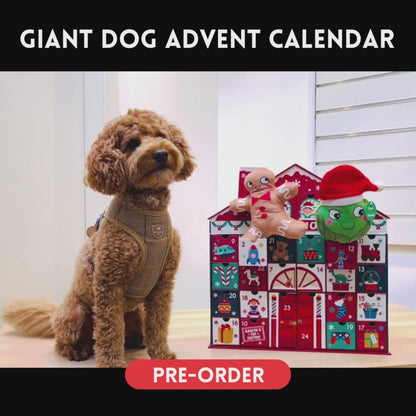 Riesen-Hunde-Adventskalender (Versand im November) Weihnachtsmann