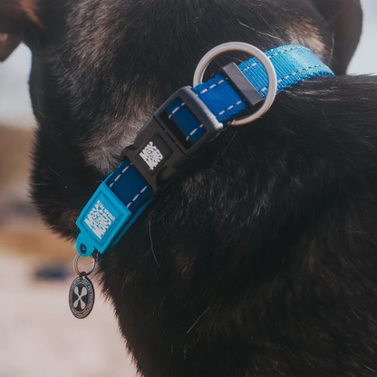 Max &amp; Molly – Smart ID Matrix Himmelblaues Halsband