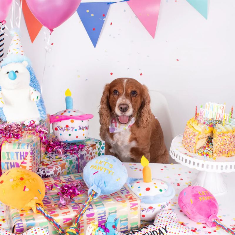 Smart Choice – Geburtstagsballon-Plüsch-Hundespielzeug