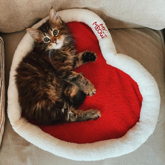 My Meow - Valentine Cat Bed