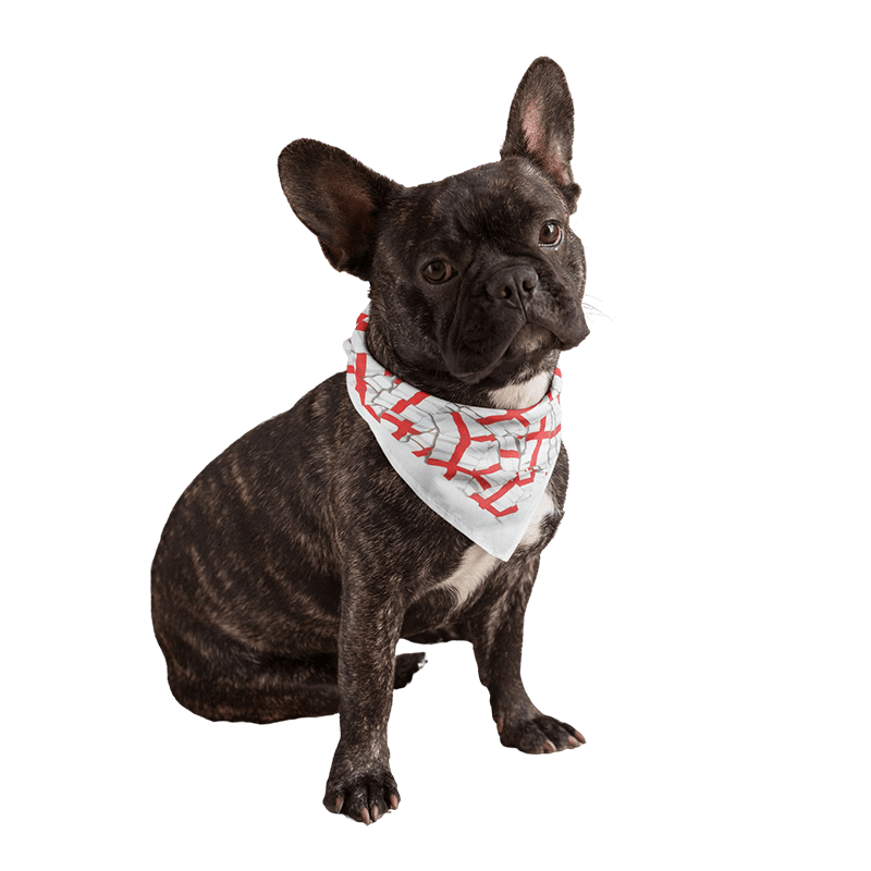 WufWuf - England Bandana - Wufwuf Shop