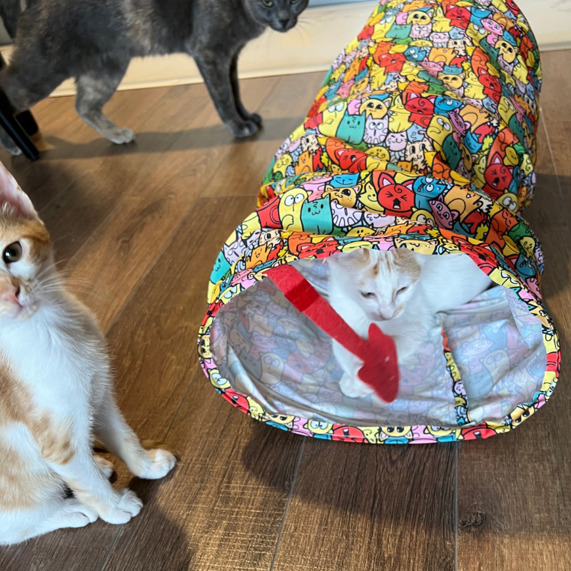 MyMeow – Katzentunnel aus Stoff