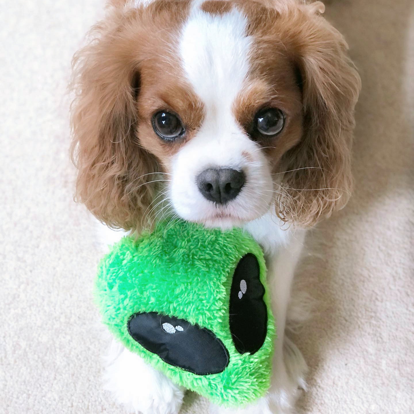 WufWuf Alien Plush Toy