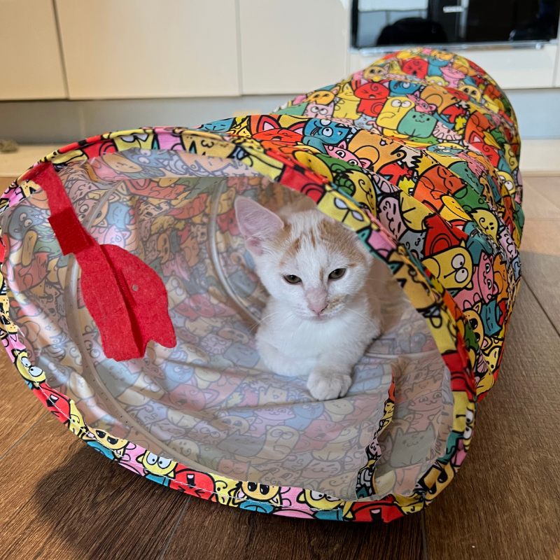 MyMeow – Katzentunnel aus Stoff