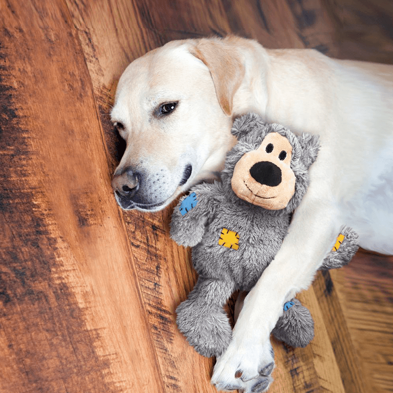 dog with kong wild knots bear dog toy