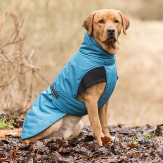 Trixie Riom Winter Coat for Dogs