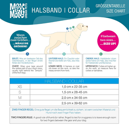Max & Molly - Smart ID Ruler Collar