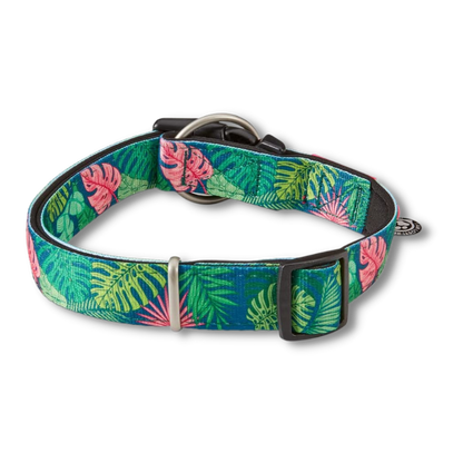 Max &amp; Molly – Smart ID Tropical Collar