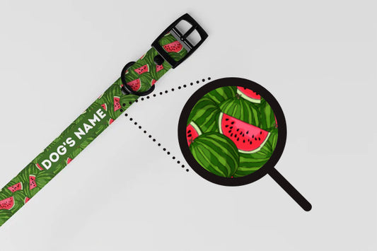 Personalisiertes Halsband-Geschenk mit Wassermelonenmuster – Grün