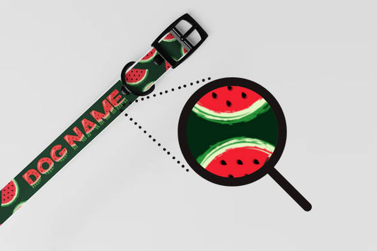 Personalised Watermelon Pattern Collar Gift - Dark Green