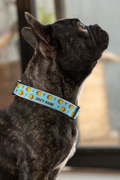 Personalised Bee Pattern Collar Gift